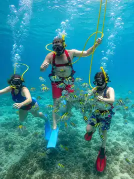 SNUBA St Maarten guests exploring underwater with tropical fish