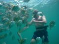 SNUBA Diver feeding some fish