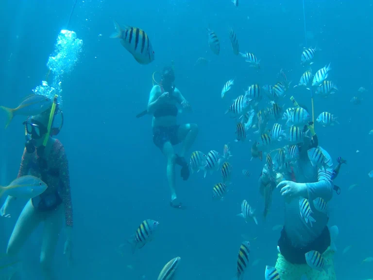 Private SNUBA group enjoying calm blue water and tropical fish in Sint Maarten